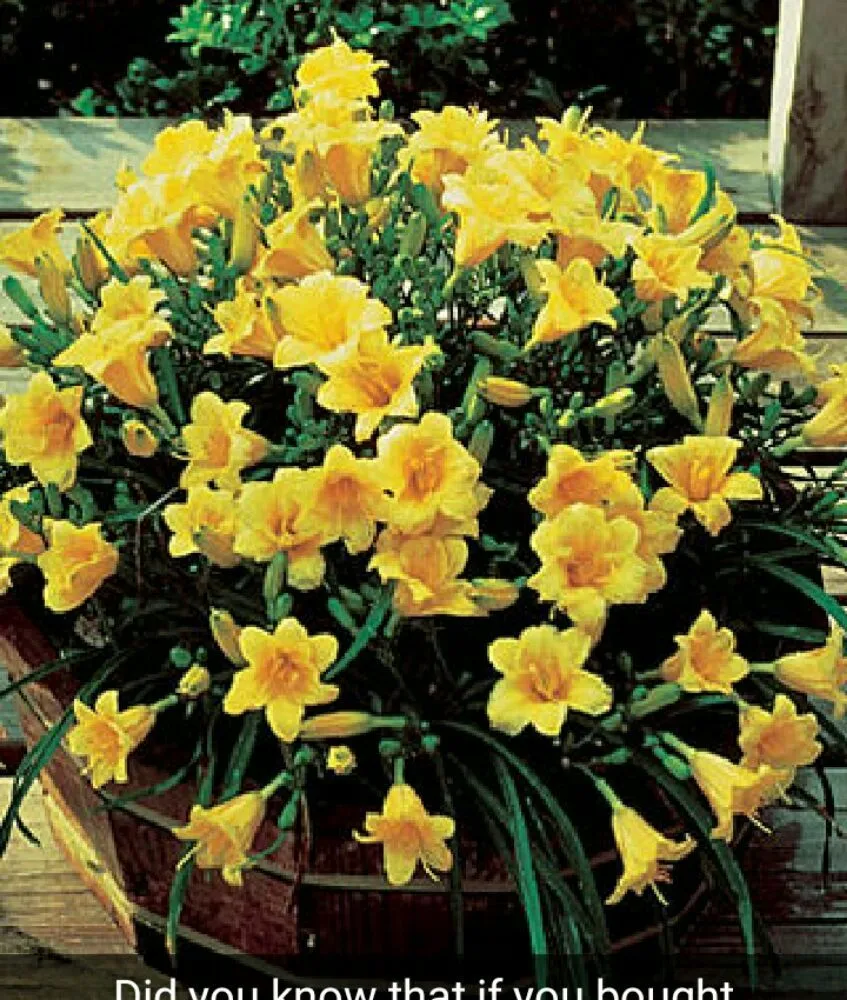 Slide of Hueys Handyman Service