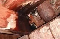 Slide of Hughes Plumbing