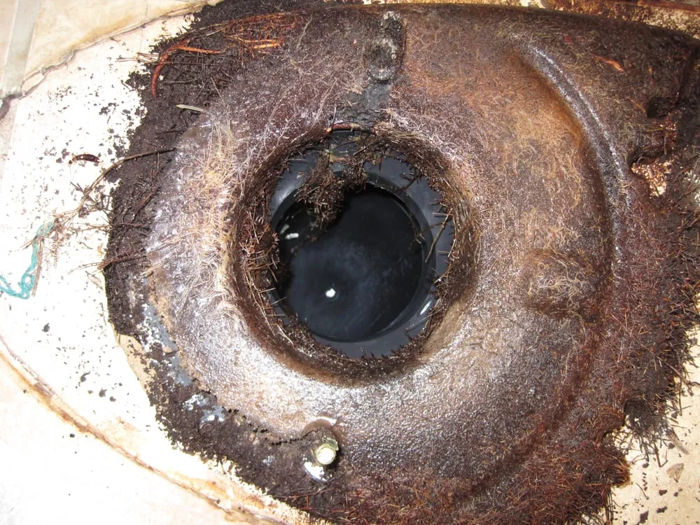 Slide of Hungry Plumber