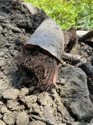 Huntington Plumbing & Rooter