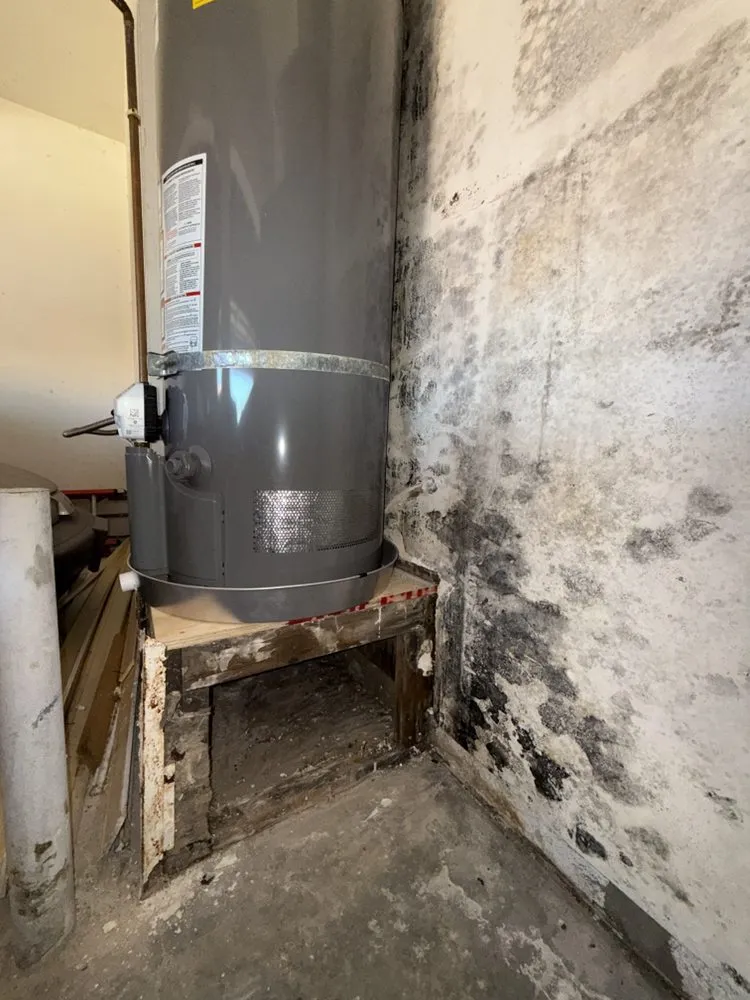 Slide of Hurry Restoration