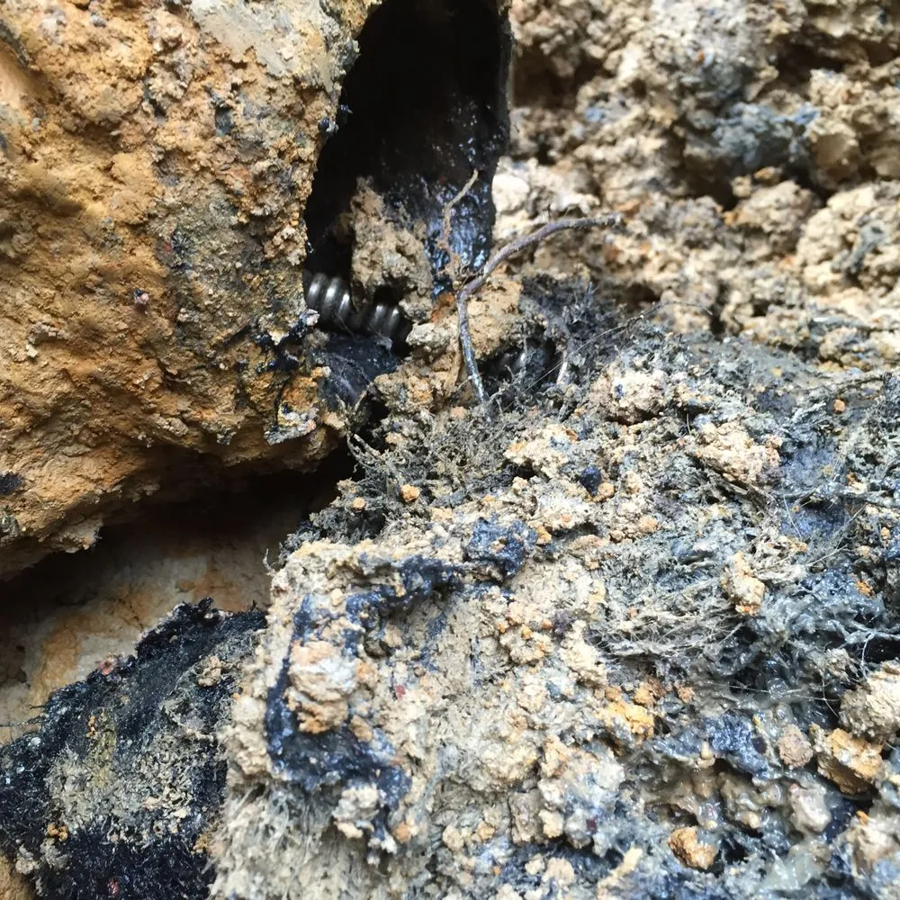 Expert leak detection experts serving Manassas, VA - Hydro Force Plumbing and Drain Services