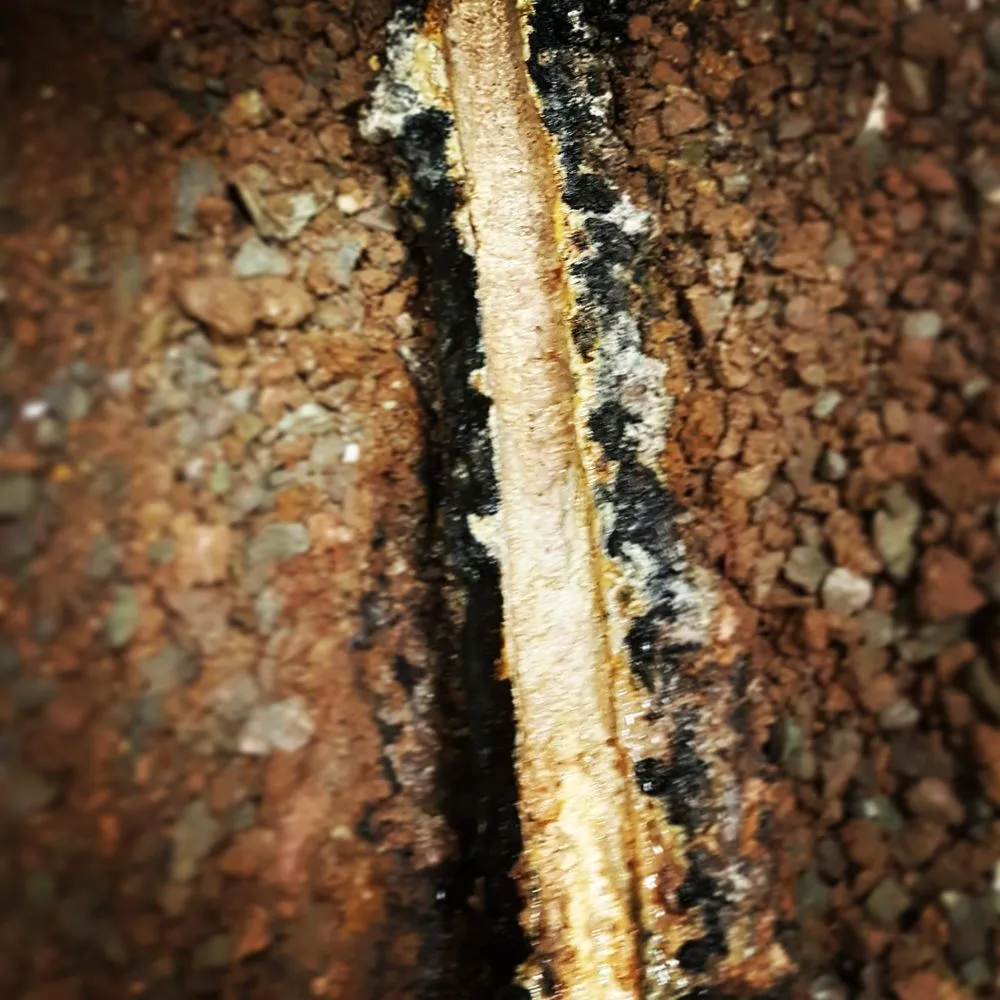 Reliable leak detection experts serving Manassas, VA - Hydro Rooters Plumbing & Drain