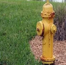 Slide of Hydro Scout