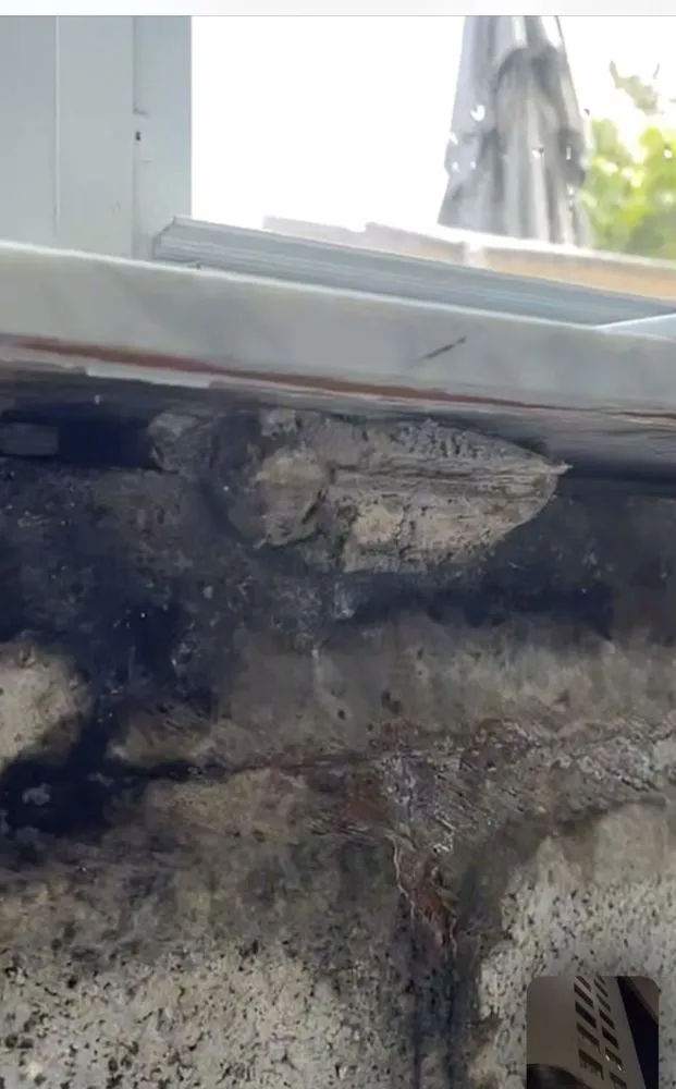 Slide of Hydro Scout