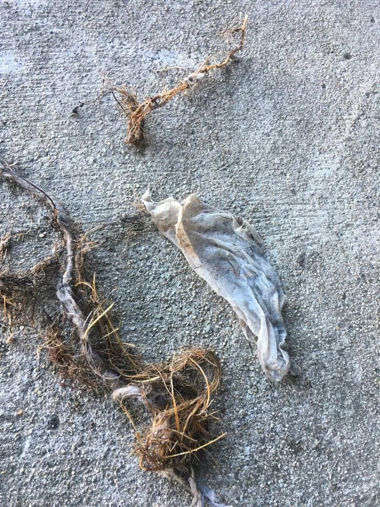 Slide of Hydro Tech Max Plumbing and Drains