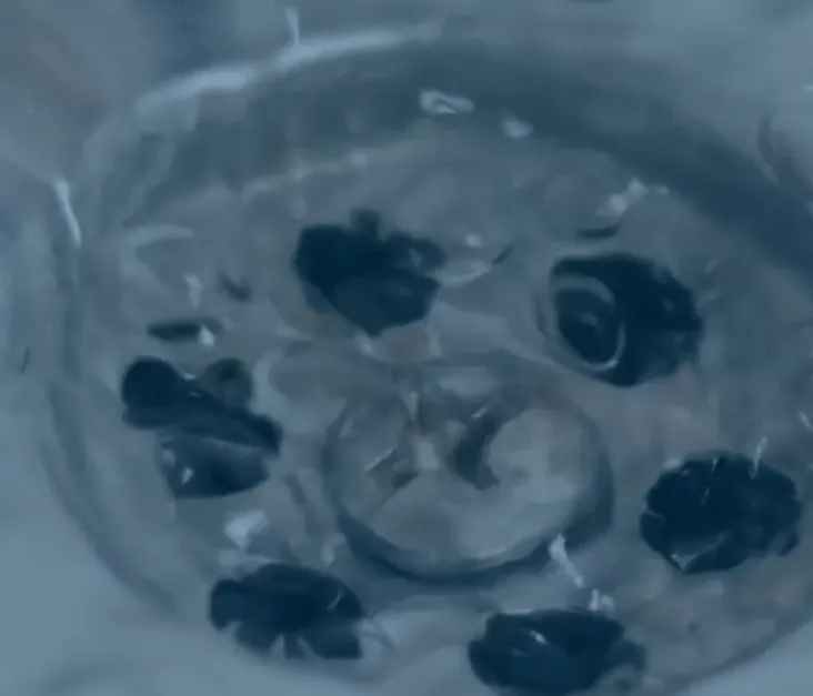 Slide of Hydrojet 24 Drain Service