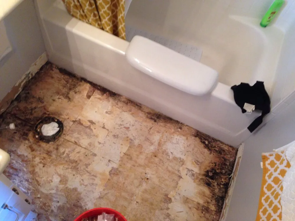 Slide of I Got Plumbing