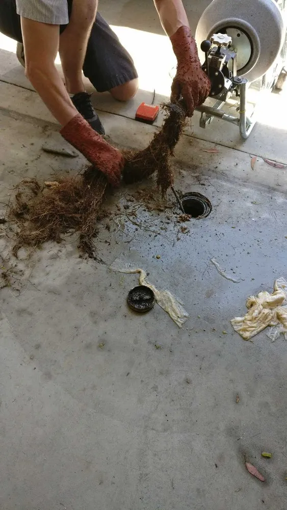 Slide of I Got Plumbing