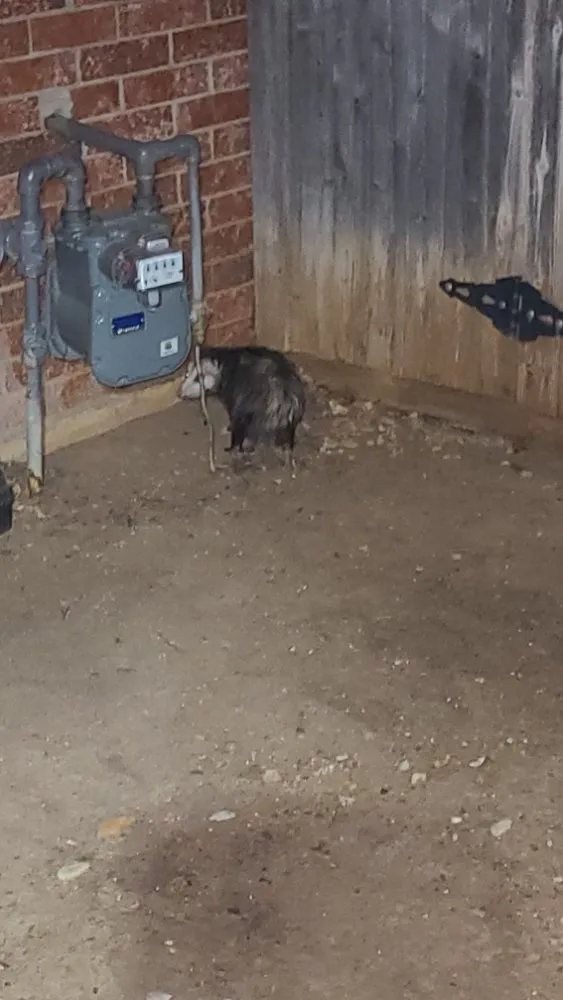 Affordable emergency plumbing experts serving Mansfield, TX - Icon Plumbing