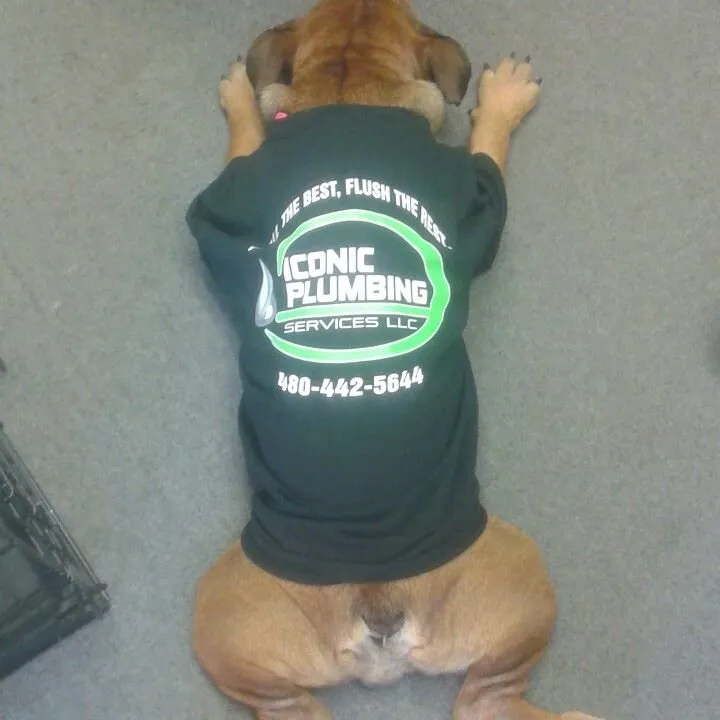 Slide of Iconic Plumbing Services