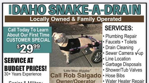 Idaho Snake-a-Drain