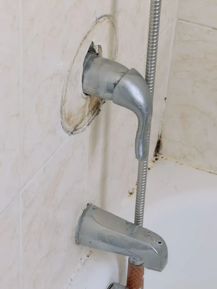 Slide of IDS Services