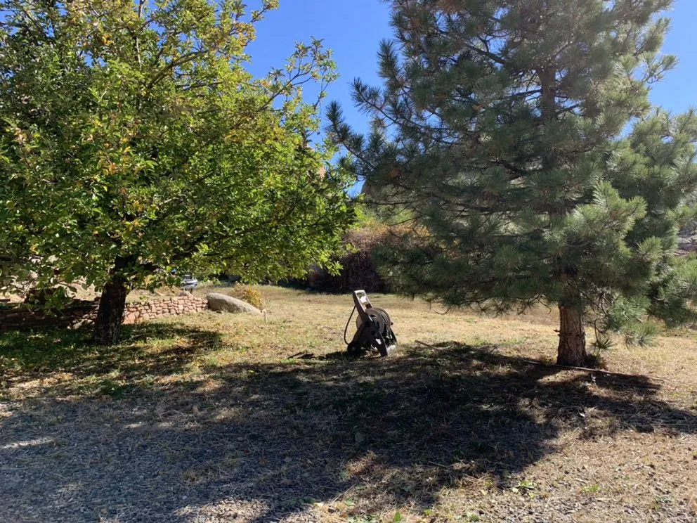 Slide of If You Can’t We Can!