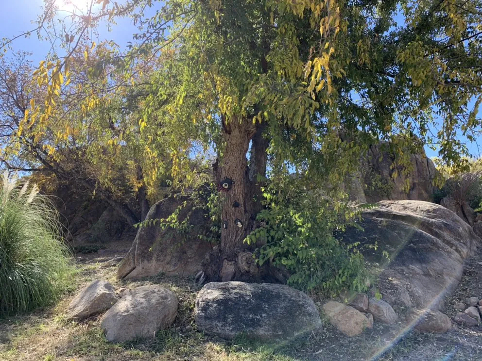 Slide of If You Can’t We Can!