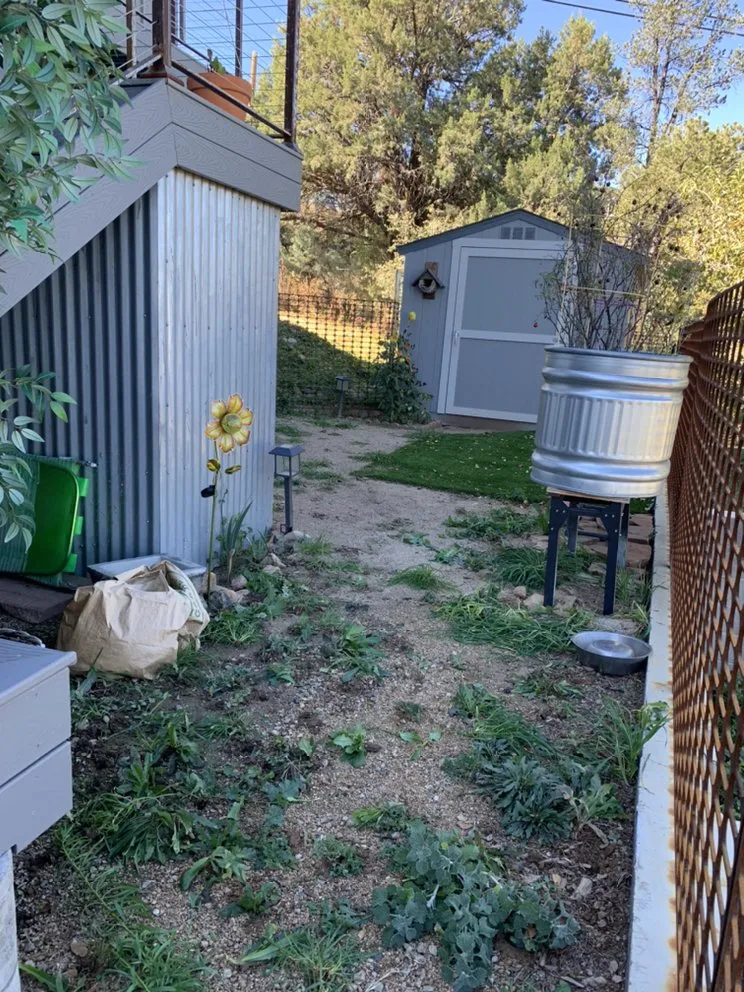 Slide of If You Can’t We Can!