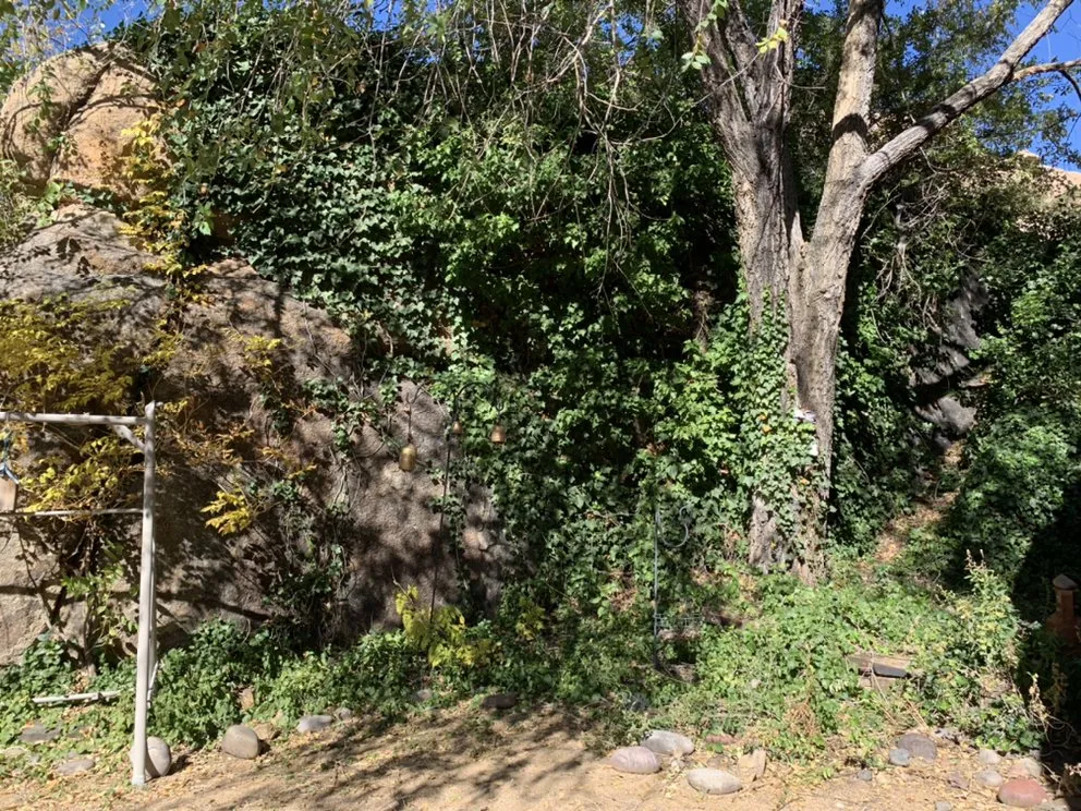 Slide of If You Can’t We Can!