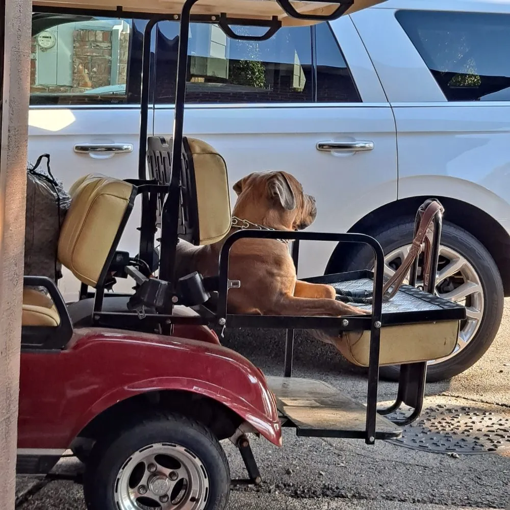 Trusted pipe repair in Elk Grove, CA by Iggy's Plumbing