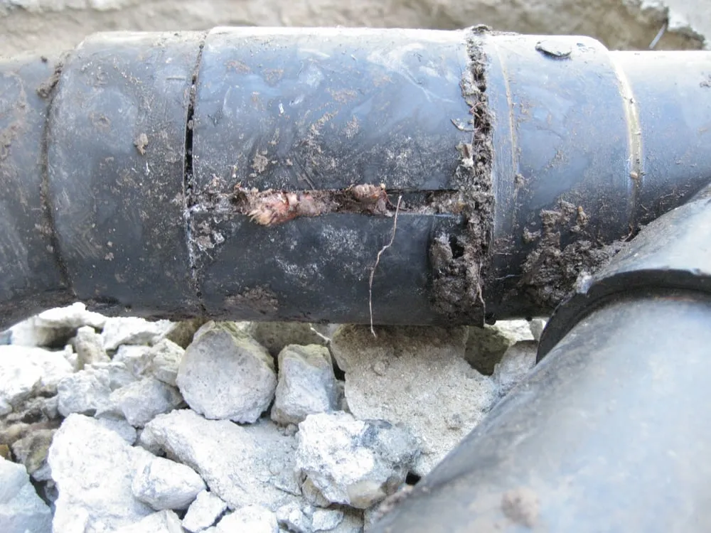 Slide of IHP Plumbing