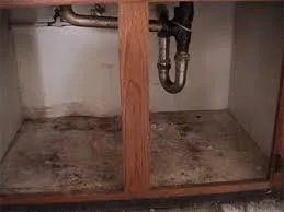 Top-rated emergency plumbing service in Long Island, NY - Iland Plumbing and Heating