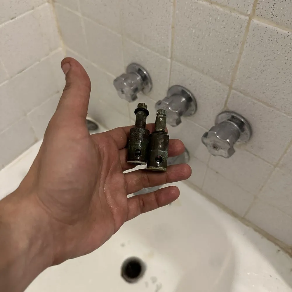 Slide of Illyrian Service Group