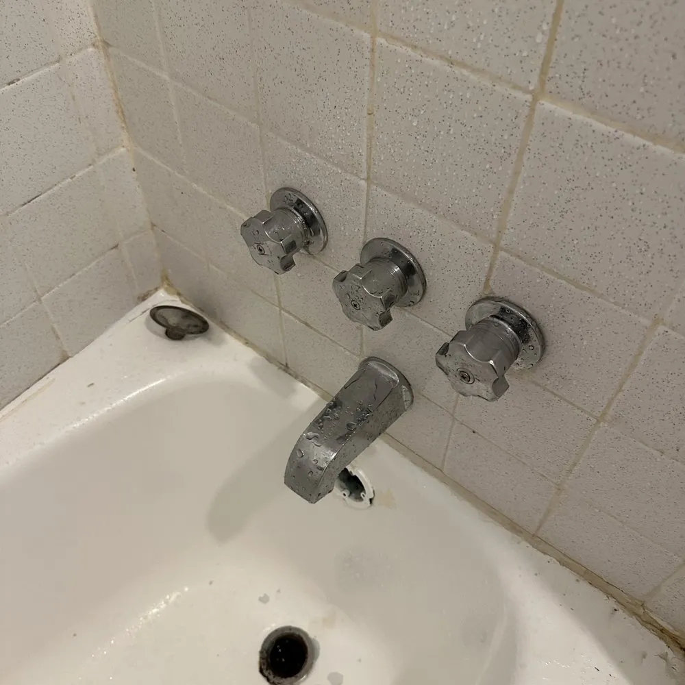 Slide of Illyrian Service Group