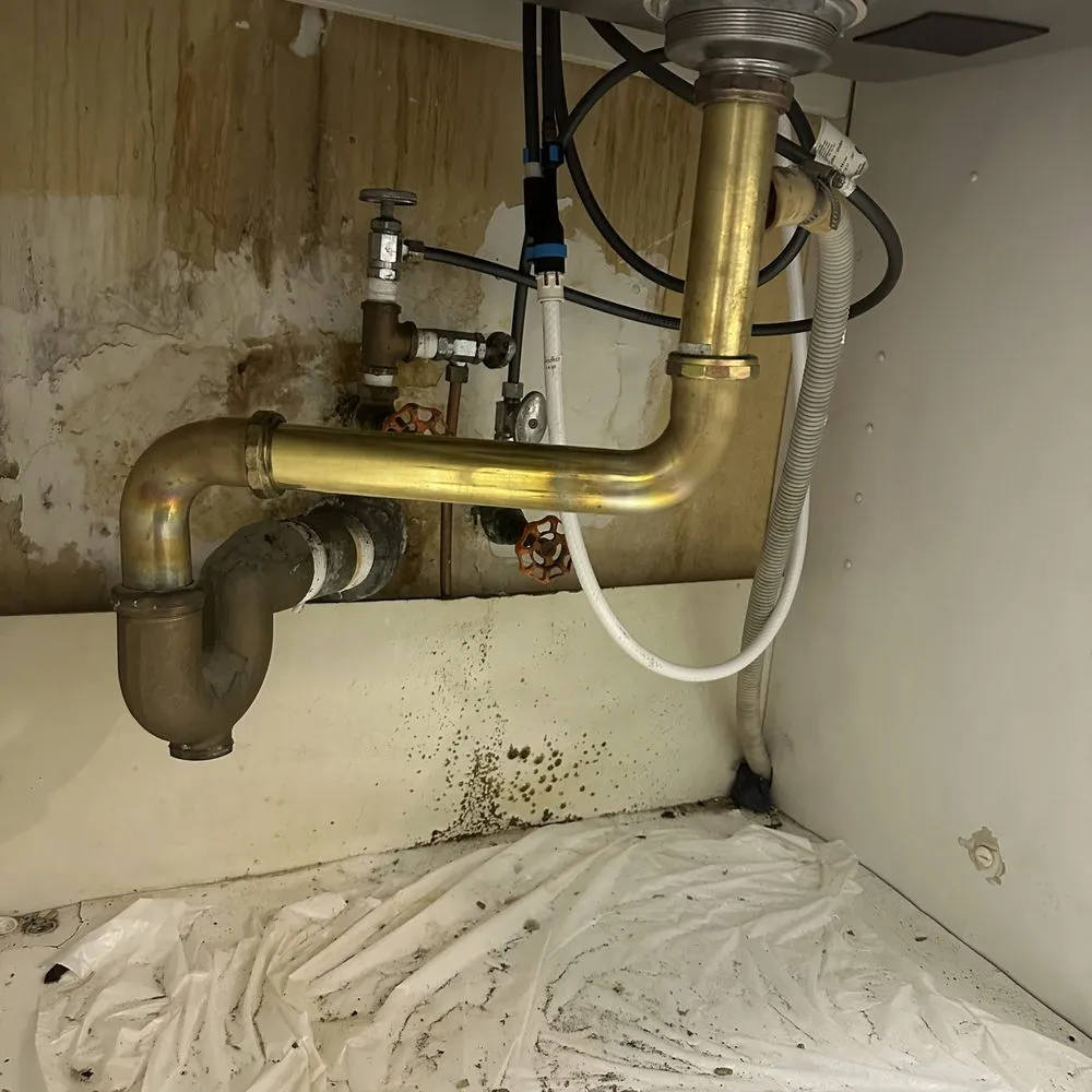 Slide of Illyrian Service Group