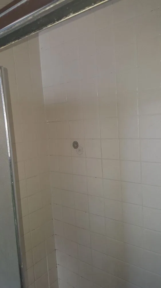 Trusted drain cleaning experts serving Chicago, IL - Immaculate Construction & Home Improvement Services