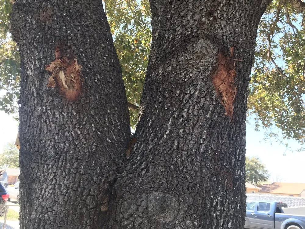 Slide of Immediate Response Plumbing