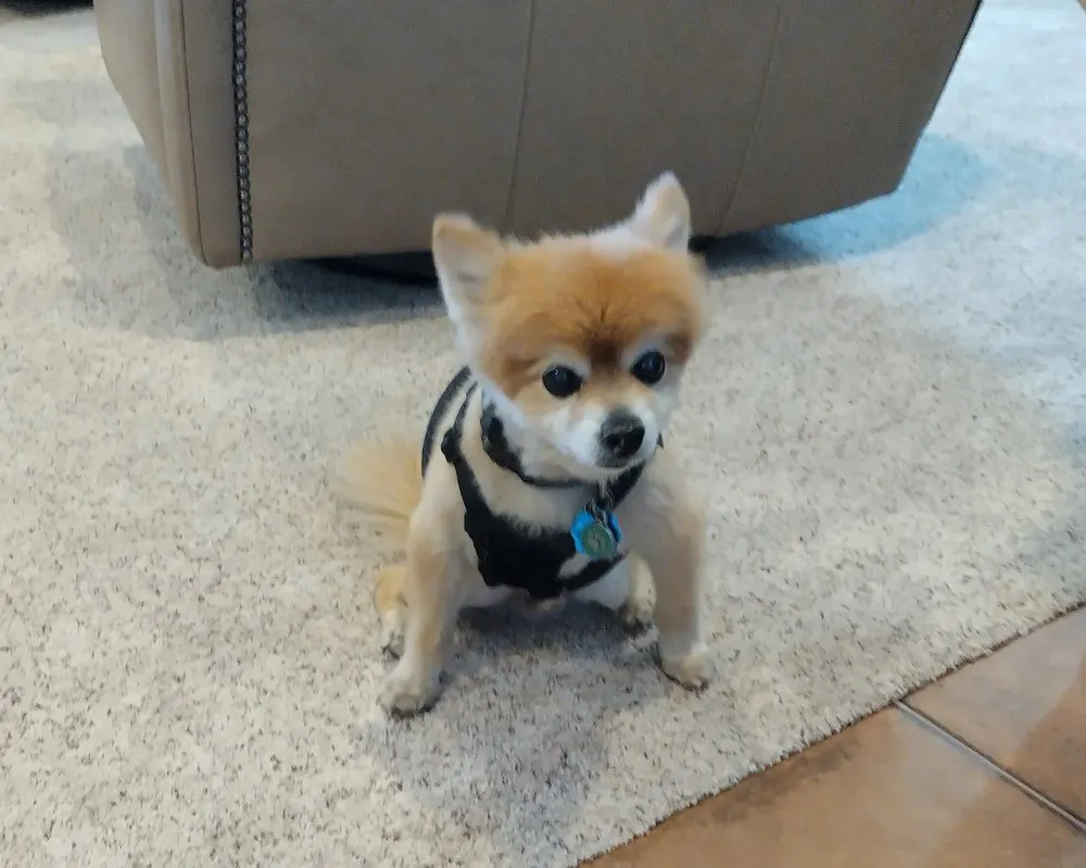 Slide of Impact Plumbing