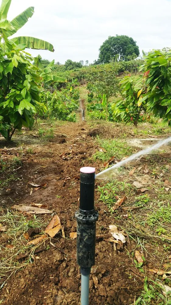 Professional leak detection in Sterling, VA by Imperial Irrigation & Lighting