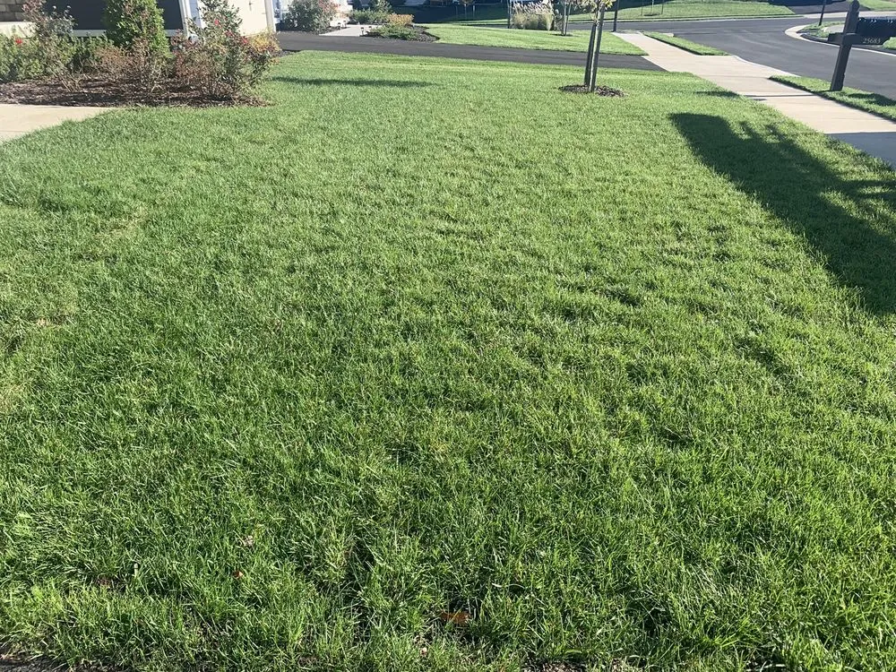 Top-rated plumbing repair for homes in Sterling, VA by Imperial Irrigation & Lighting