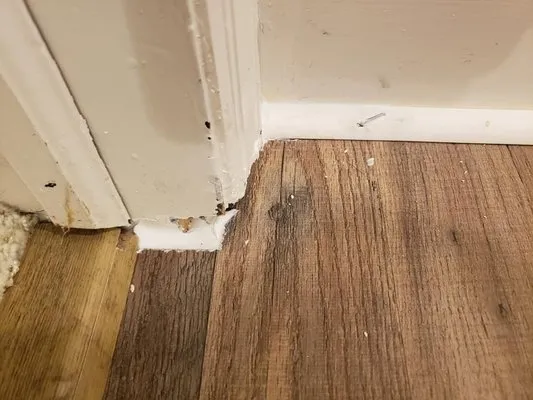 Improvements Done Right Logo