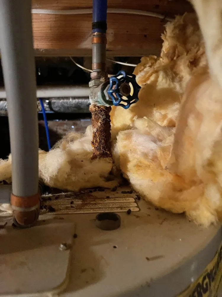 Slide of IMT Plumbing