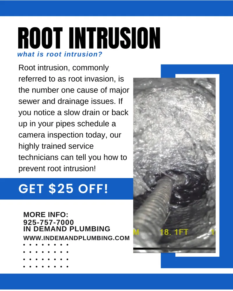 Slide of In Demand Plumbing