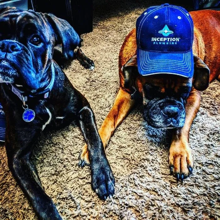 Slide of Inception Plumbing