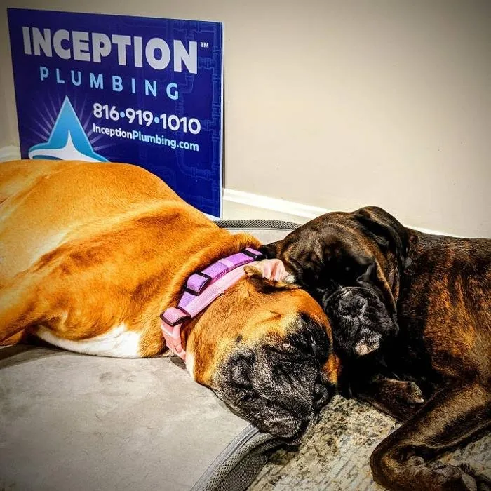 Slide of Inception Plumbing