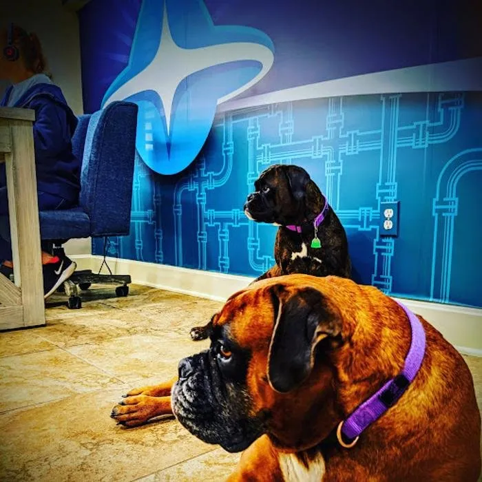 Slide of Inception Plumbing