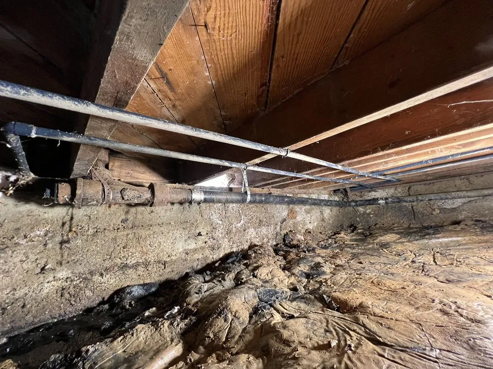 Slide of Incredible Plumbing