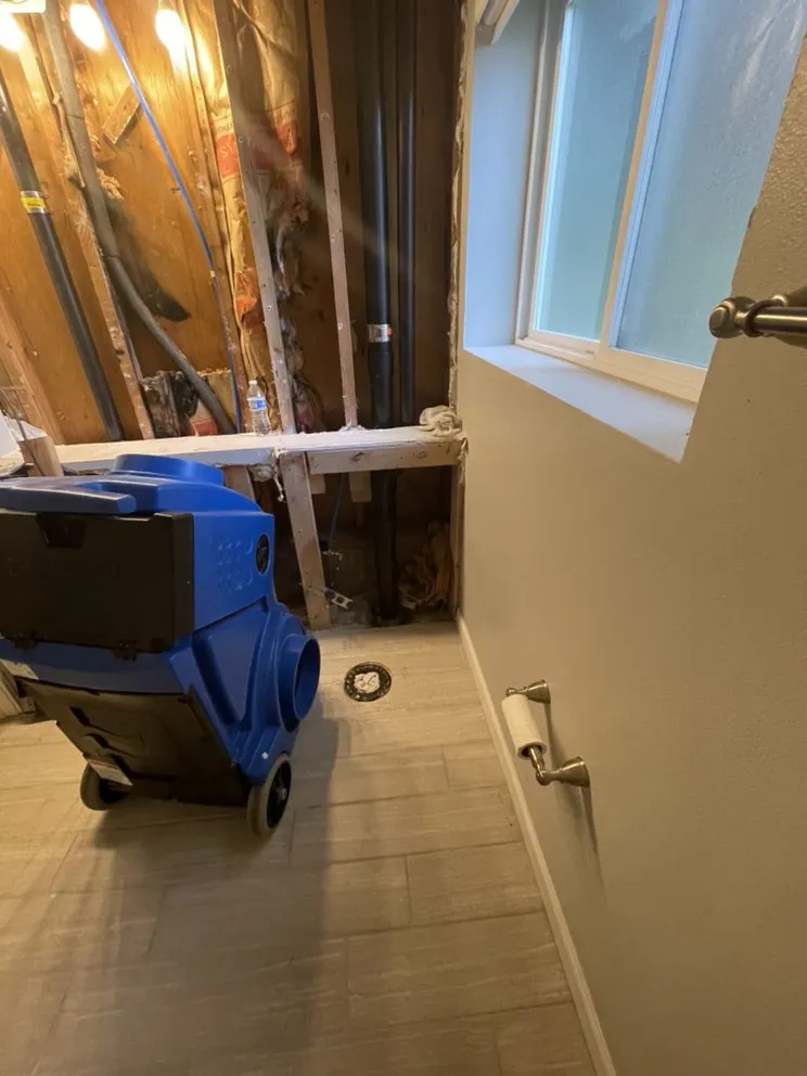 Slide of Indepedent Restoration