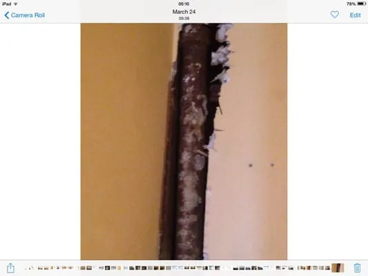 Independence Plumbing Logo