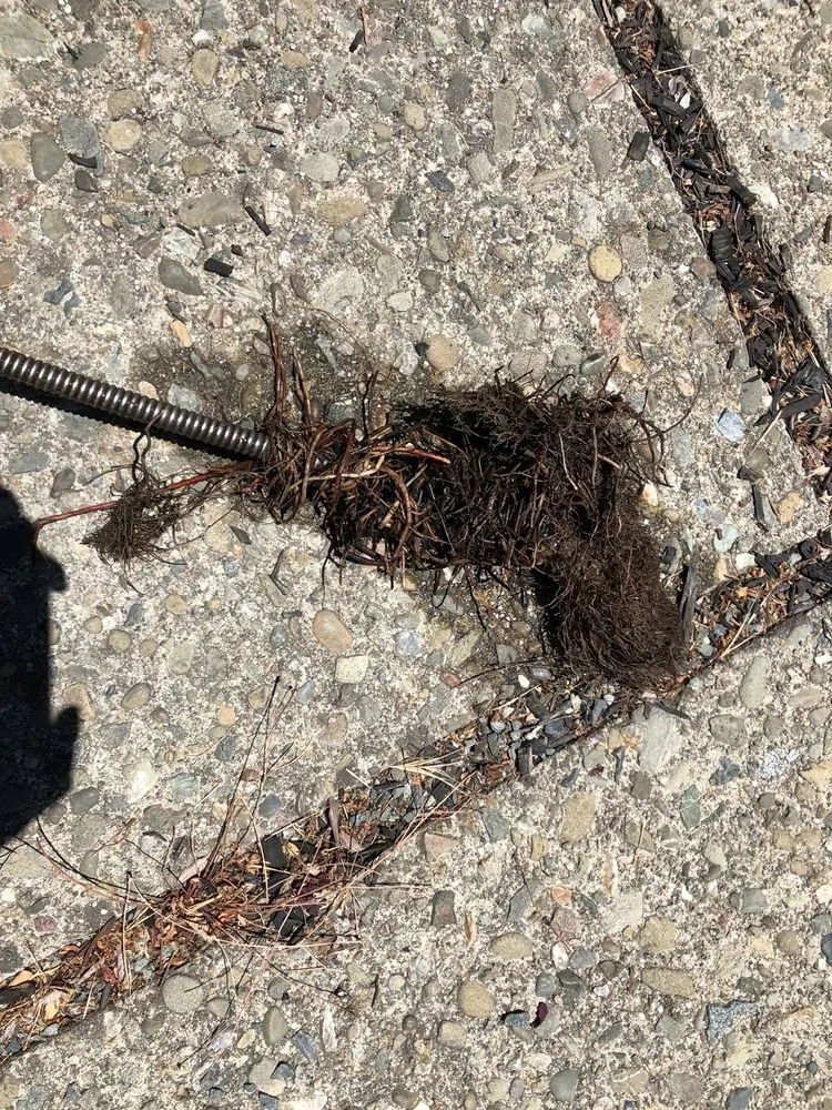 Slide of Infinity Plumbing