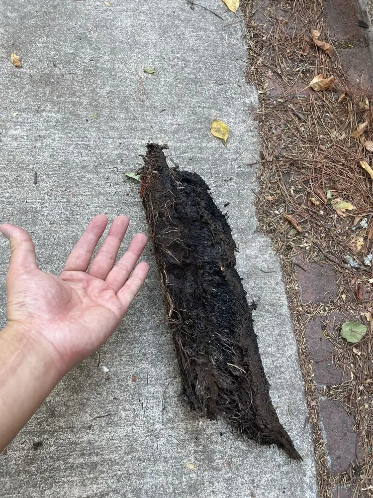 Slide of Infinity Plumbing