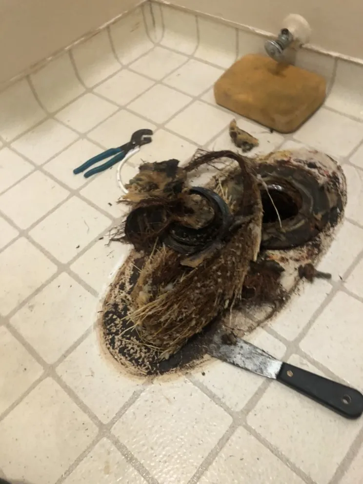 Slide of Ingenious Plumbing