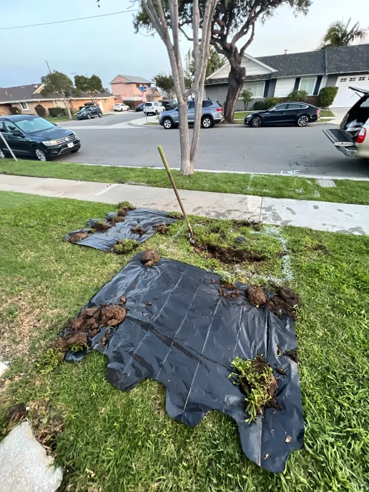 Slide of Innovation Plumbing