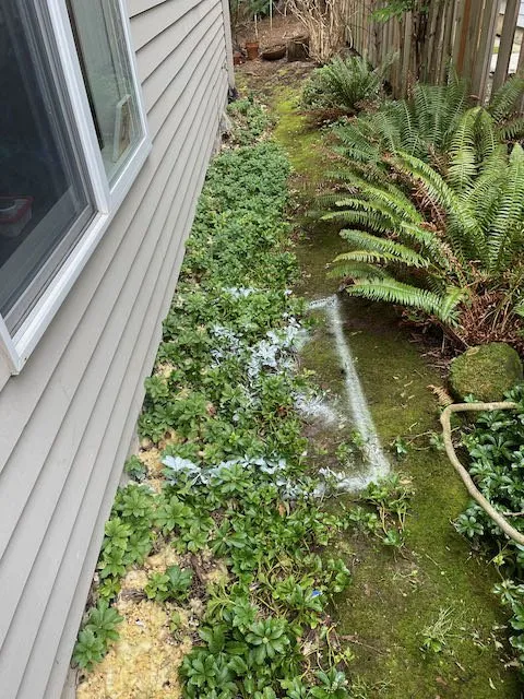 Slide of Innovative Leak Detection