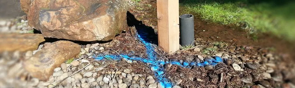 Slide of Innovative Leak Detection