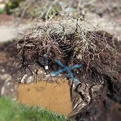 Slide of Innovative Leak Detection