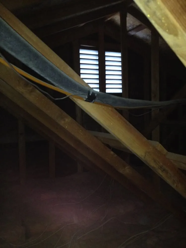 Slide of Insight Home and Mold Inspections