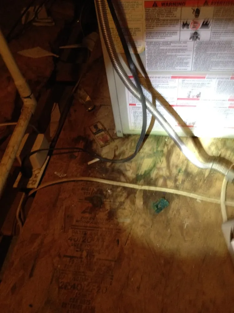 Slide of Insight Home and Mold Inspections